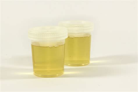 how hard to pass drug test weed|urine test for weed.